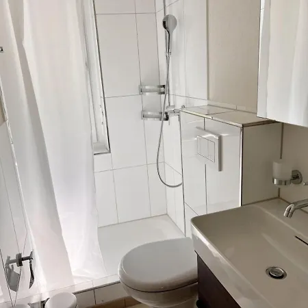 Up&great - Cozy 3br Combi * زيورخ